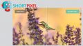 ShortPixel Image Optimizer Can Help Speed Up Your Site